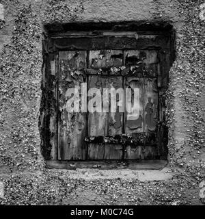 Carbone portelli shed, back-door e cadute di cenere scomparsa della storia sociale del British back lane. Foto Stock