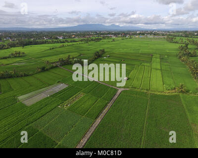 Paesaggio di Tabanan Foto Stock