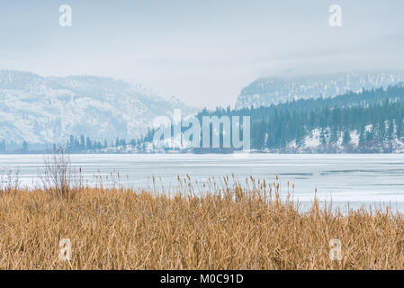 Coperta di neve mcintyre Bluff e montagne vista da zone umide protette a Vaseux vicino Lago Okanagan Falls Foto Stock