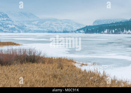 Congelati Vaseux lago in inverno guardando a sud attraverso la palude verso mcintyre Bluff con le montagne e la nebbia a distanza Foto Stock