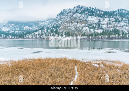 Vista da bird cieco di wildlife trail attraverso paludi protette al Lago Vaseux con la montagna e i cigni in background Foto Stock