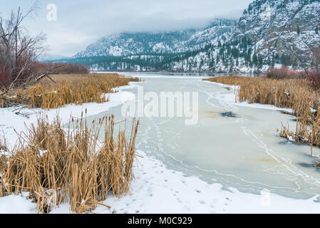 Congelati Okanagan fiume circondato da canne con Vaseux lago e montagne in distanza Foto Stock