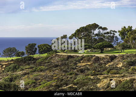 Campo da Golf di Torrey Pines con scogliere e Oceano Pacifico in background La Jolla California USA vicino a San Diego Foto Stock