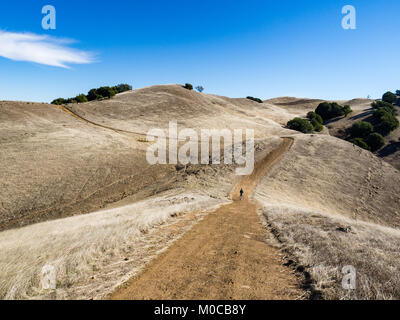 Lone maschio adulto escursionista camminare in salita, Highland Ridge Trail, Morgan territorio Parco Regionale. Rovere colline punteggiate di erba dorata, California, soleggiato, caduta. Foto Stock