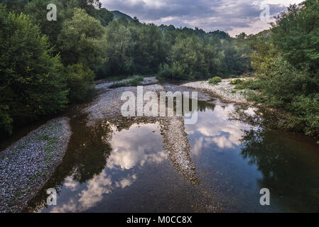 Rvaz fiume vicino a villaggio Radosevo, Arilje comune nel distretto di Zlatibor nella parte occidentale della Repubblica di Serbia Foto Stock