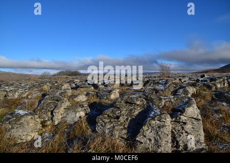 E Clints Grykes in una pavimentazione di pietra calcarea. Foto Stock