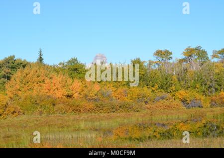 Nascosta dalla riflessione colorati delle foglie di autunno nell'acqua, è una piccola insenatura con Chief mountain peeking fino in background Foto Stock