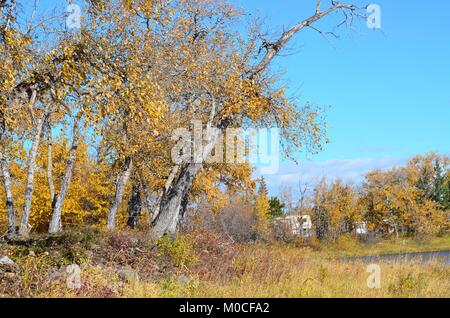 The leaves are changing colors at the lake as summer is coming to an end until next year Foto Stock
