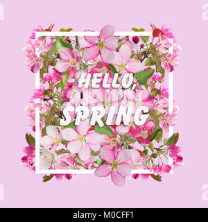 Floral Design a molla con la fioritura dei ciliegi fiori in bianco telaio rettangolare su una rosa di sfondo e testo Ciao molla Foto Stock