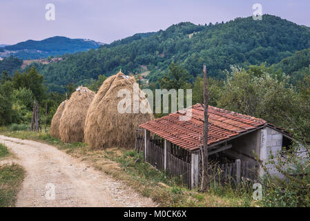 Piccola fattoria tra Guca città e villaggio Vuckovica in Lucani comune, Moravica distretto di Serbia Foto Stock