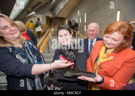 Ruth Davidson MSP con cucciolo in parlamento scozzese Pic Pietro Devlin Foto Stock