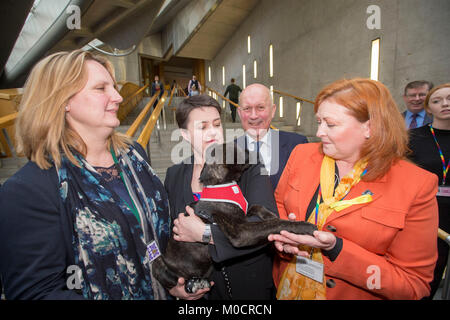 Ruth Davidson MSP con cucciolo in parlamento scozzese Pic Pietro Devlin Foto Stock