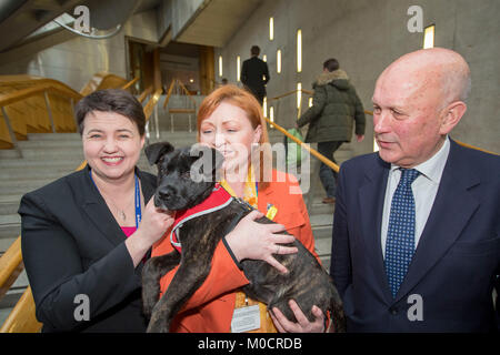 Ruth Davidson MSP con cucciolo in parlamento scozzese Pic Pietro Devlin Foto Stock