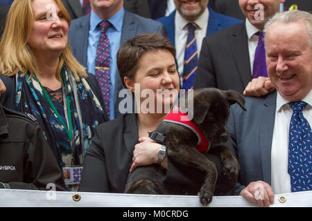 Ruth Davidson MSP con cucciolo in parlamento scozzese Pic Pietro Devlin Foto Stock