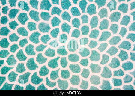 Closeup colpo di ornati smaltata di verde e bianco texture ceramica Foto Stock