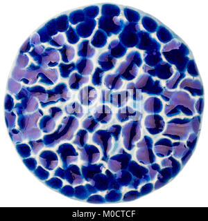 Blue artigianale di ceramica invetriata cerchio isolato su sfondo bianco Foto Stock