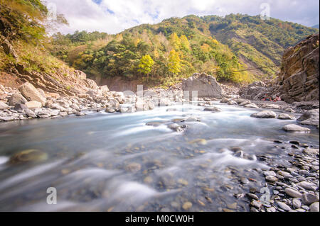 rushing river in a mountain forest Foto Stock