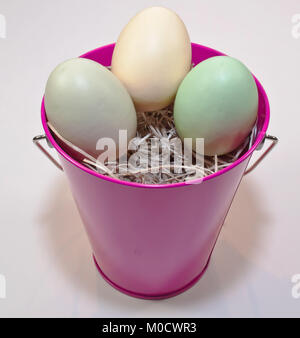 Tre diversi colori di uova di Pasqua in un secchio di colore rosa che viene riempito con paglia