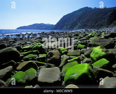 Riserva della Biosfera di Urdaibai, Bizkaia, Paesi Baschi, Spagna, Europa Foto Stock