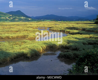 Ria de Gernika, Riserva della Biosfera di Urdaibai, Bizkaia, Paesi Baschi, Spagna, Europa Foto Stock