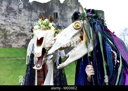 CHEPSTOW, Regno Unito. Il 20 gennaio 2018. Luisa Rossi Exton e John Exton da Monmouth. Chepstow Wassail e Mari Lwyd (il grigio Mare) celebrazioni. Si tratta di un pre-cristiana folk gallese tradizione che è detto di portare la buona fortuna. © Jessica Gwynne Credito: Jessica Gwynne/Alamy Live News Foto Stock