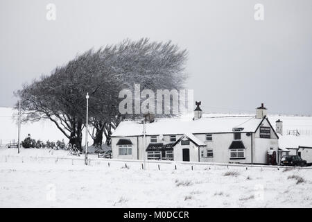 Denbighshire, Wales, Regno Unito , REGNO UNITO Meteo: come la neve continua a cadere alcuni oggi un westerly anteriore Atlantico porterà temperature più calde e la pioggia in seguito. La neve continua a cadere nella fascia pedemontana e la brughiera di Denbighshire con il isolato Sportsmans Arms circondare da una spessa coltre di neve vicino a Llyn Brenig Foto Stock