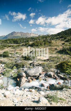 Wild Patagonia nel percorso di trekking vicino alla laguna di smeraldo,Ushuaia, Tierra del Fuego, Argentina. Foto Stock