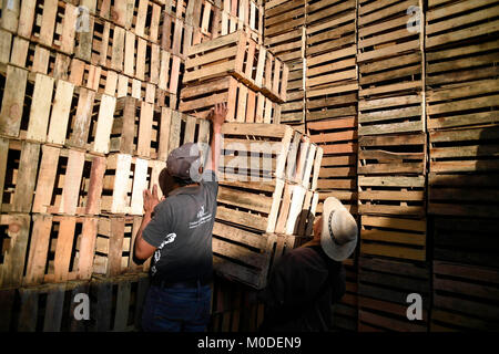 20/gennaio/2018 Un lavoratore fissate scatole di legno chiamato 'huacales' a 'Central de Abasto' mercato in Messico Cit. Circa il 35% dei fiori, frui Foto Stock