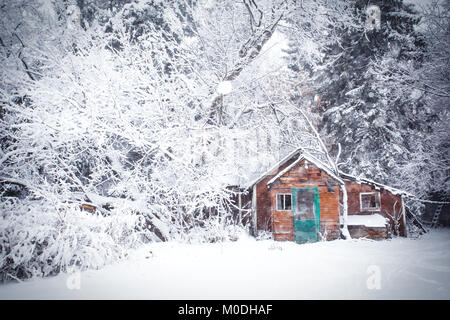 Un vecchio sbriciolamento marrone cabina in legno circondato da una foresta di bianco della neve coperti di alberi in un paesaggio rurale Foto Stock