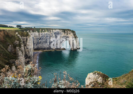 Le Bianche Scogliere di Etretat e Costa d'alabastro, Normandia, Francia Foto Stock