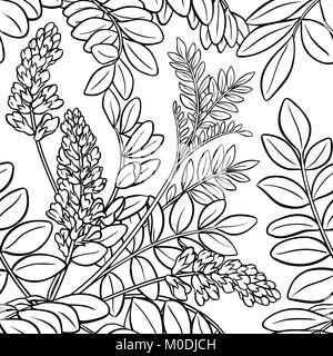 Impianto di liquirizia seamless pattern su sfondo bianco Illustrazione Vettoriale