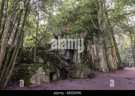 Hitler nel bunker Wolf della tana, sede di Adolf Hitler e nazista comando supremo delle Forze Armate in WW2 vicino al villaggio di Gierloz, Polonia Foto Stock