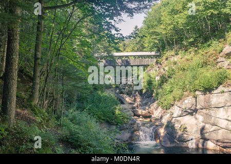 Immagine dai toni di Sentinel Pino ponte coperto in Franconia Notch State Park, NH. Foto Stock