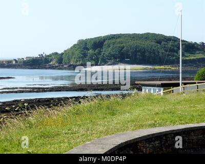 Vista panoramica di St Georges isola a Looe, Cornwall, Regno Unito Foto Stock