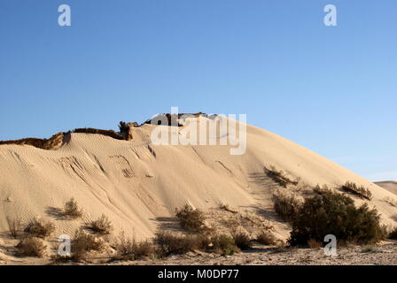 Le dune di sabbia vicino a Douz, il deserto del Sahara, Kebili distretto, Tunisia Foto Stock