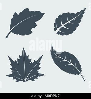 Set di foglie di vettore. Illustrazione Vettoriale