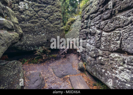 Percorso tra le rocce su Szczeliniec Wielki, la vetta più alta delle montagne Stolowe (tabella montagne) gamma, parte dell'Sudetes, Bassa Slesia, Polonia Foto Stock