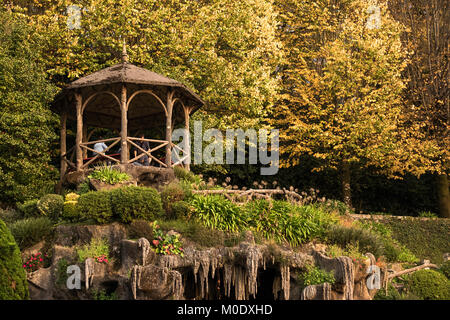 Tutti circa la caduta, l'autunno questa preziosa stagione dell anno che ci mettono bella e immagini giallo Foto Stock