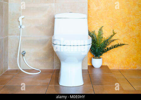 Scatti di interni di un moderno bagno in primo piano la doccia con pavimento in cemento e la tazza di gabinetto Foto Stock