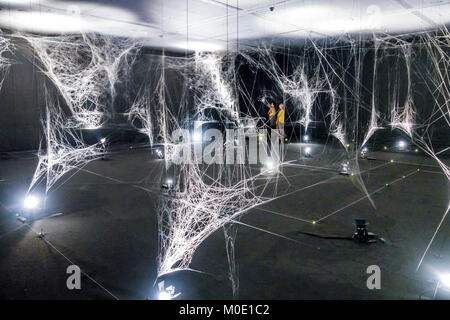 Buenos Aires Argentina,San Telmo,Museo de Arte moderno de Buenos Aires,Museo d'Arte moderna,interno interno,Tomas Saraceno,installazione,ragno,webs,Pa Foto Stock