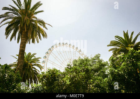 Ferris weel e Palm su soleggiate giornate estive Foto Stock