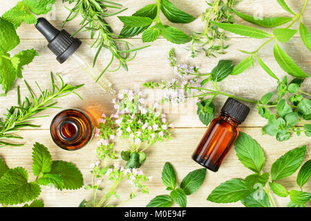 Erbe aromatiche fresche, foglie, fiori e oli per massaggi sul pannello di legno Foto Stock