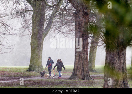 Northampton. U.K. Meteo, Abington park. Il 21 gennaio 2018. Nevischio e mostrare questa mattina non scoraggiare questo giovane dal camminare i loro cani. La previsione è la pioggia questo pomeriggio. Credito: Keith J Smith./Alamy Live News Foto Stock