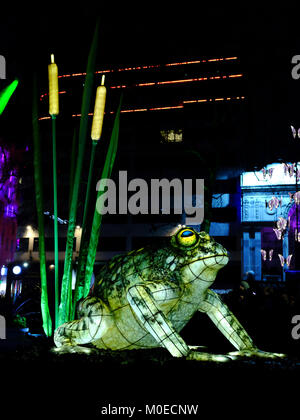 Londra, Regno Unito. Xx gen, 2018. La vita notturna di installazione ad Lumiere London 2018 Credit: Judi Saunders/Alamy Live News Foto Stock