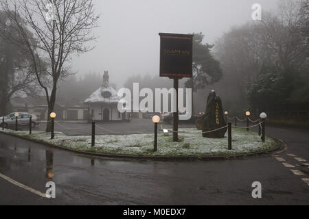 Biggin Hill,UK,21 Gennaio 2018,la nebbia a Biggin Hill, Kent dopo una leggera nevicata, come le temperature rimangono nei pressi di congelamento©Keith Larby/Alamy Live News Foto Stock