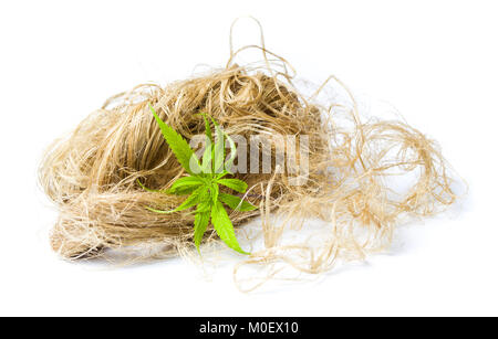 La marijuana di foglie di cannabis e di fibre di canapa isolato Foto Stock