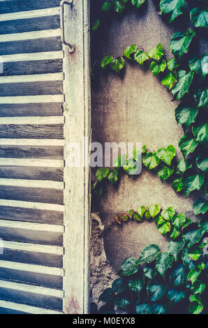 Filtro retrò Foto del rustico persiane bianche ed edera su un cottage in Francia Foto Stock