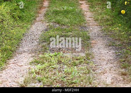 Le tracce delle ruote sul prato verde Foto Stock