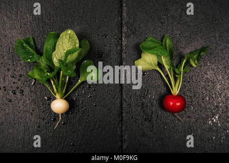 Deliziosi organico ravanelli su sfondo nero. Foto Stock
