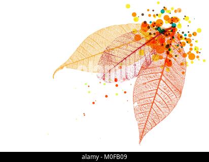 Abstract sfondo floreale con posto per il testo Illustrazione Vettoriale